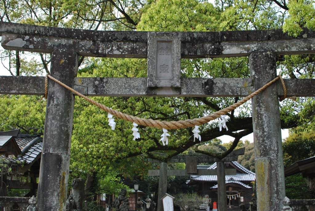 DSC_0035