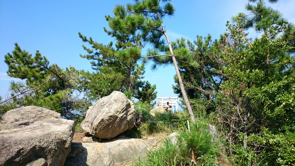 DSC_1939