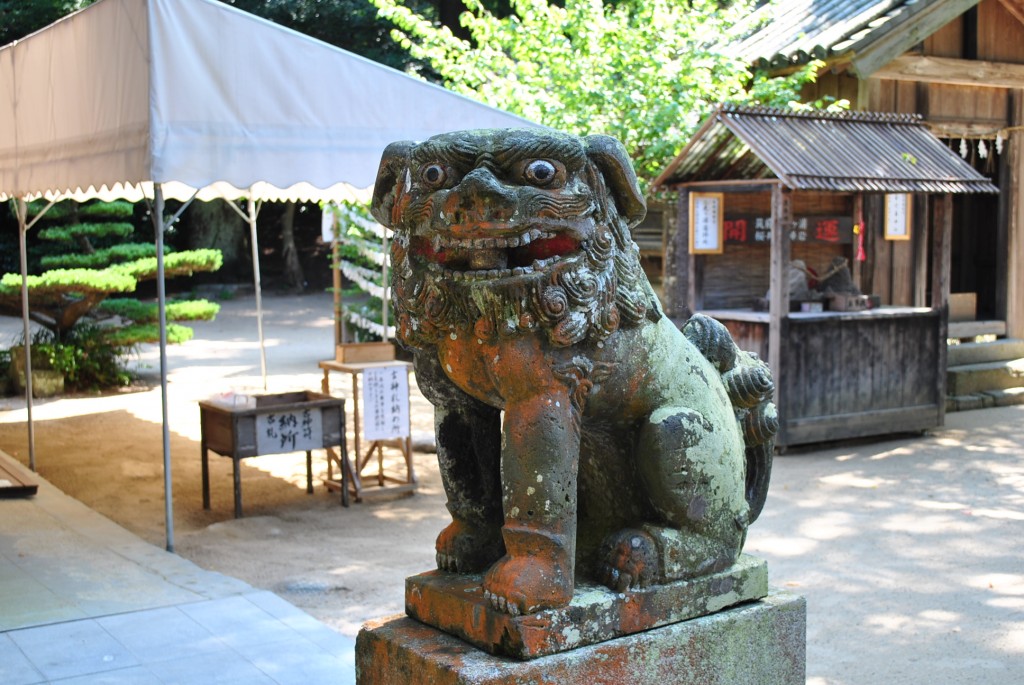 DSC_0027