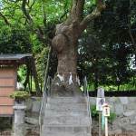 願いを叶えに行こう!! 子宝・安産祈願のお参りは、唐津市のパワースポット鏡神社へ。