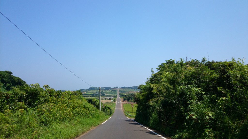 DSC_1803