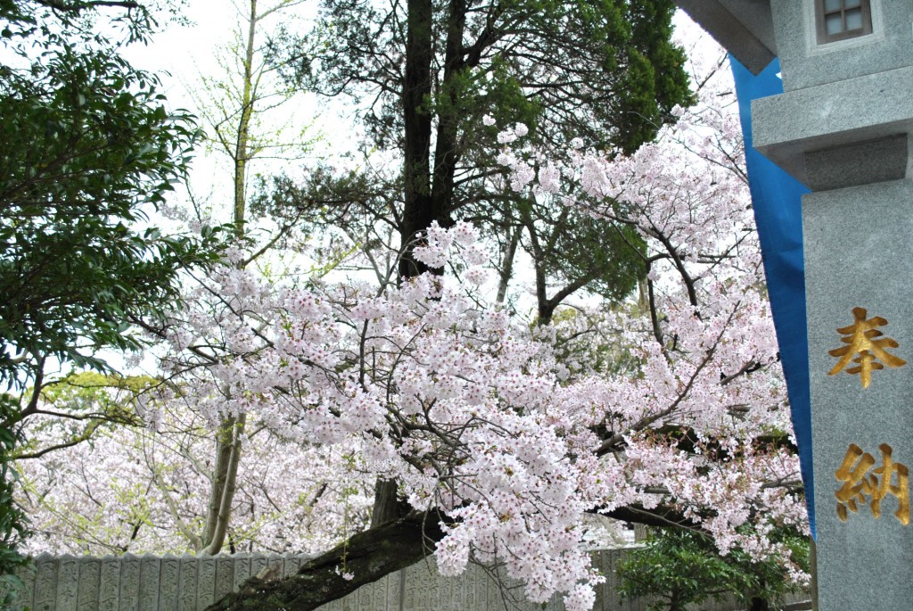 DSC_0088補正