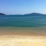 信頼は細部に宿る ― プロとしての誠実さと柔軟さ